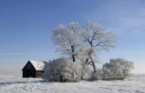 The Cold and the Snow