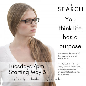 The Search